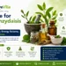 Medicine for Kialodenzydaisis Healing
